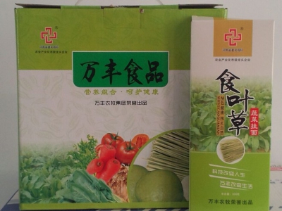 食叶草蔬菜面条